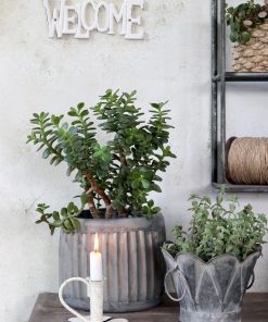 Alternative view of Bord Welcome