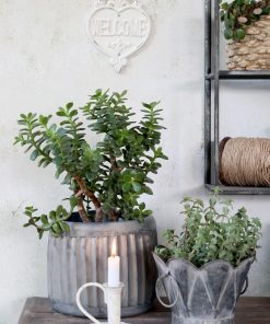 Alternative view of Bord Welcome