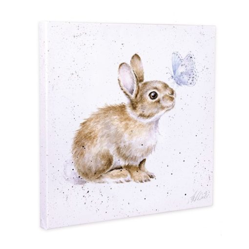 I Spy a Butterfly Rabbit canvas