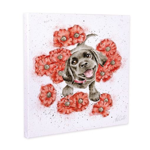 Poppy Love Labrador canvas