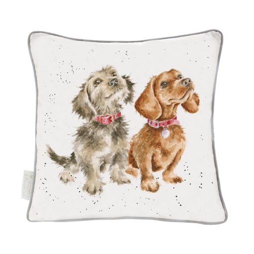 Treat Time Cushion