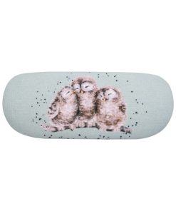 Owlets Owl glasses case