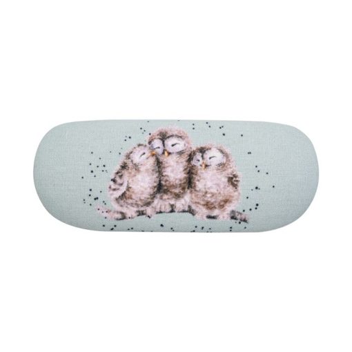 Owlets Owl glasses case