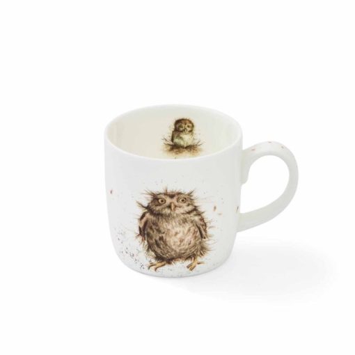 What A Hoot Owl mug