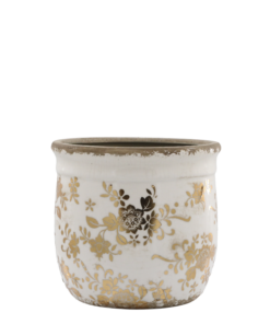 Alternative view of Bloempot